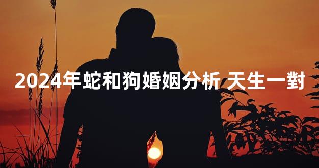 2024年蛇和狗婚姻分析 天生一對